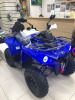 Квадроцикл Motax Grizlik 200 Ultra