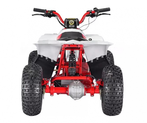 Электроквадроцикл VELOCIFERO MINI ATV 750W