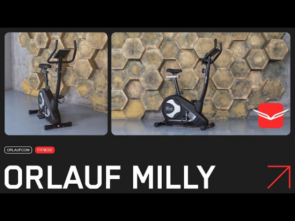 Велотренажер Orlauf Milly