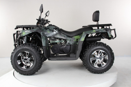 Квадроцикл Motax Grizlik 300