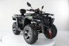 Квадроцикл Motax Grizlik 300