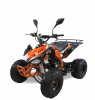 Квадроцикл Motax ATV T-Rex-LUX 125 Бело-оранжевый