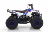 Квадроцикл MOTAX GRIZLIK A110