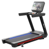Беговая дорожка CardioPower Pro CT400