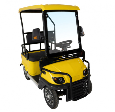 Гольфкар GreenCamel A2 ECO (2 seats 800W R8)