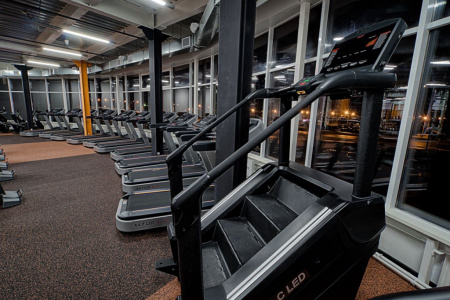 Тренажер-лестница Stepmill Aerofit X6-С LED
