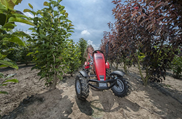 Веломобиль Berg Case-IH XXL BFR